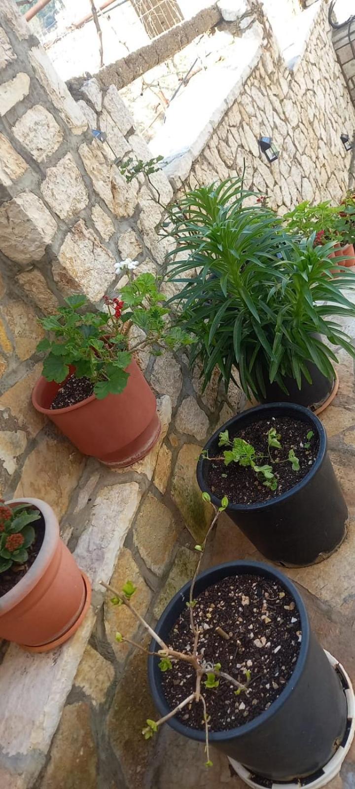 Himara Apartments Εξωτερικό φωτογραφία